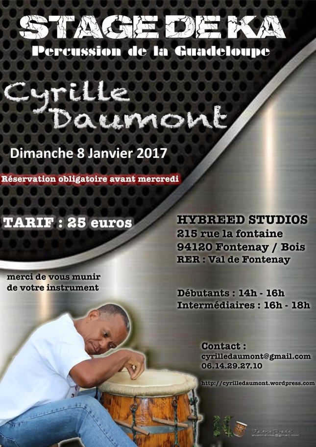 stage-percu-ka-8-janvier-2016-cyrille-daumont